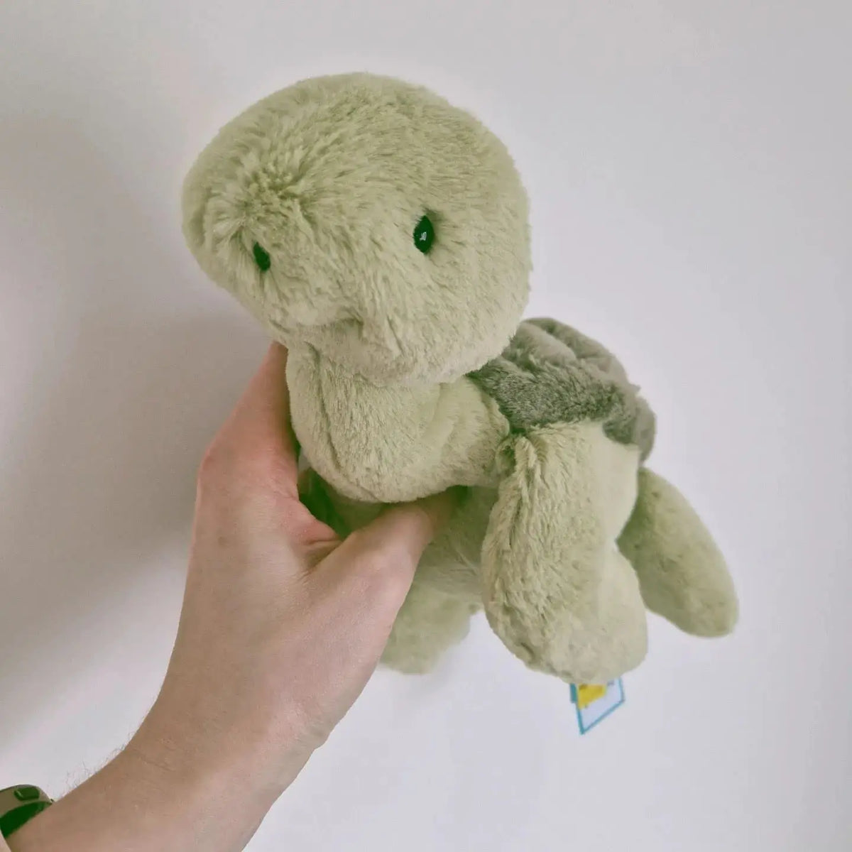 Weighted Plush Turtle