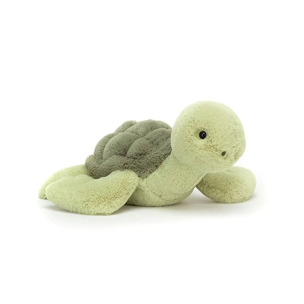 Weighted Plush Turtle